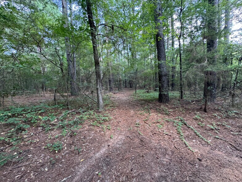 000 Meadow View Ln, Flint, TX à vendre - Photo du bâtiment - Image 3 de 44