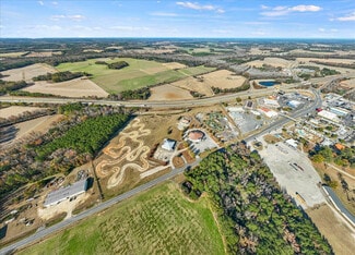 More details for 3239 US 301, Hamer, SC - Land for Sale