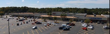 204-324 SE Highway 19, Crystal River, FL - AERIAL map view - Image1