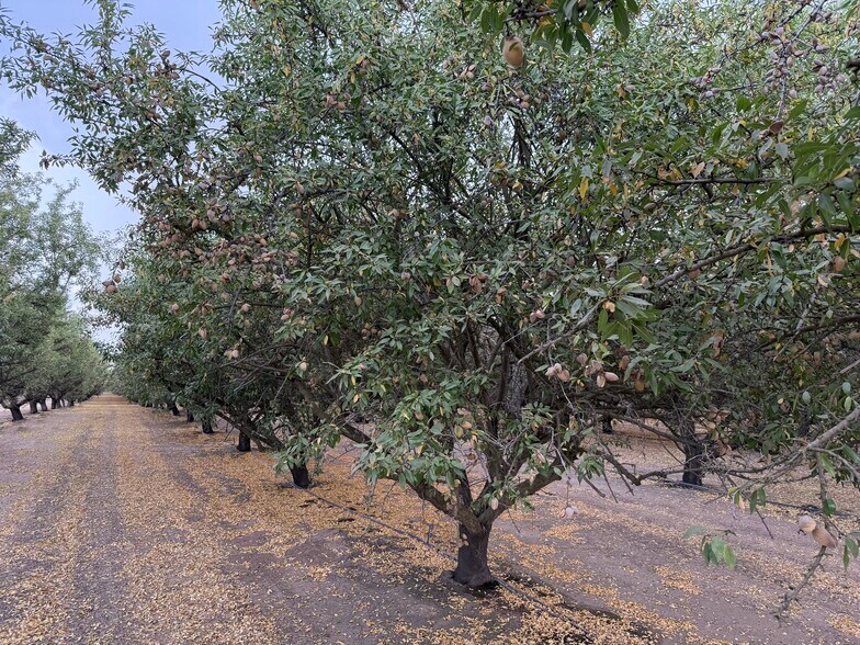 E. Keyes Rd, Denair, CA à vendre - Autre - Image 2 de 10