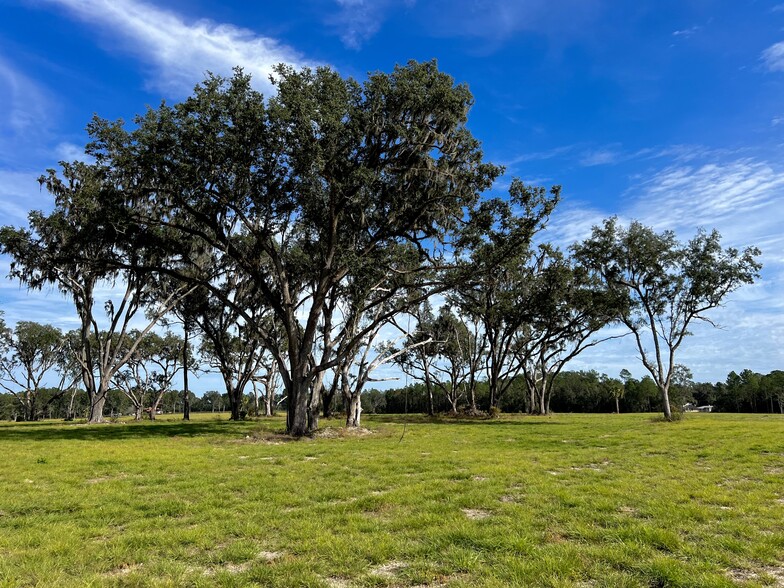 NW Highway 464B, Morriston, FL à vendre - Photo du bâtiment - Image 1 de 6