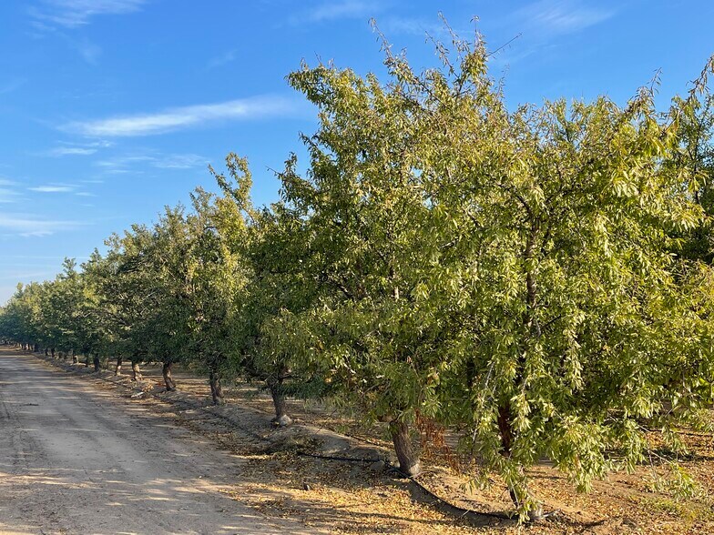 4114 W Church Ave, Fresno, CA à vendre - Photo du bâtiment - Image 3 de 8