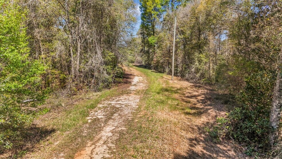 7700 Iron Rush Rd, Wilmer, AL for sale - Building Photo - Image 2 of 28