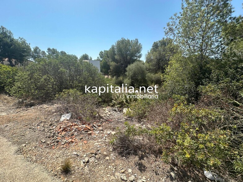 Land in Alberic, Valencia for sale - Primary Photo - Image 1 of 5