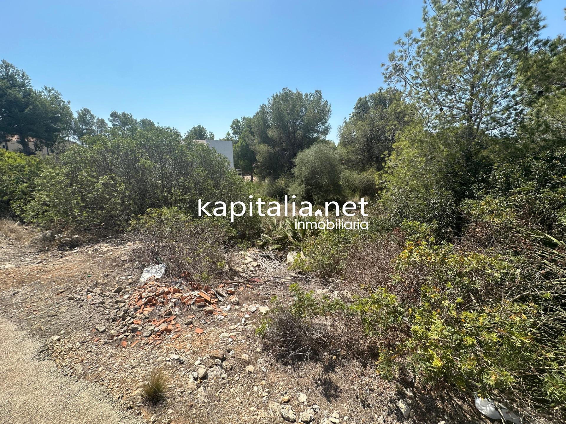 Terrain dans Alberic, Valencia à vendre Photo principale- Image 1 de 6