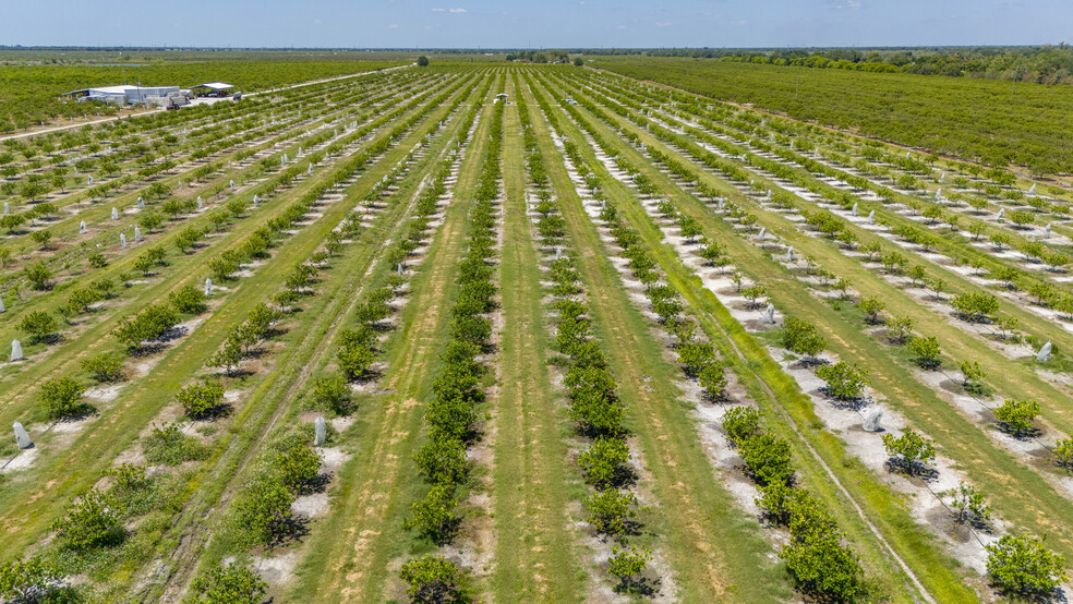 Hwy 31, Arcadia, FL à vendre - Photo du b timent - Image 2 de 11