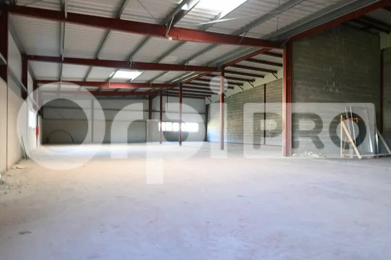Flex in Bourgoin-Jallieu for lease - Interior Photo - Image 3 of 7