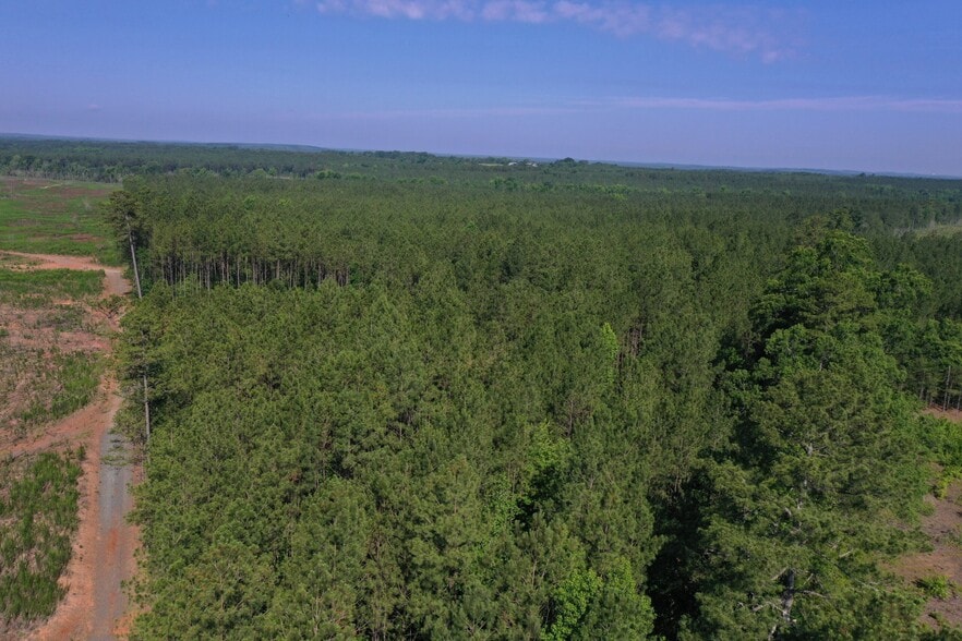 00 Everett Chappell Rd, Mount Gilead, NC for sale - Building Photo - Image 3 of 29