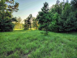 Plus de détails pour 9751 Ocelot Rd, Gilmer, TX - Terrain à vendre