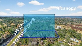 Plus de détails pour 21121 Highway 441 N, Micanopy, FL - Terrain à vendre
