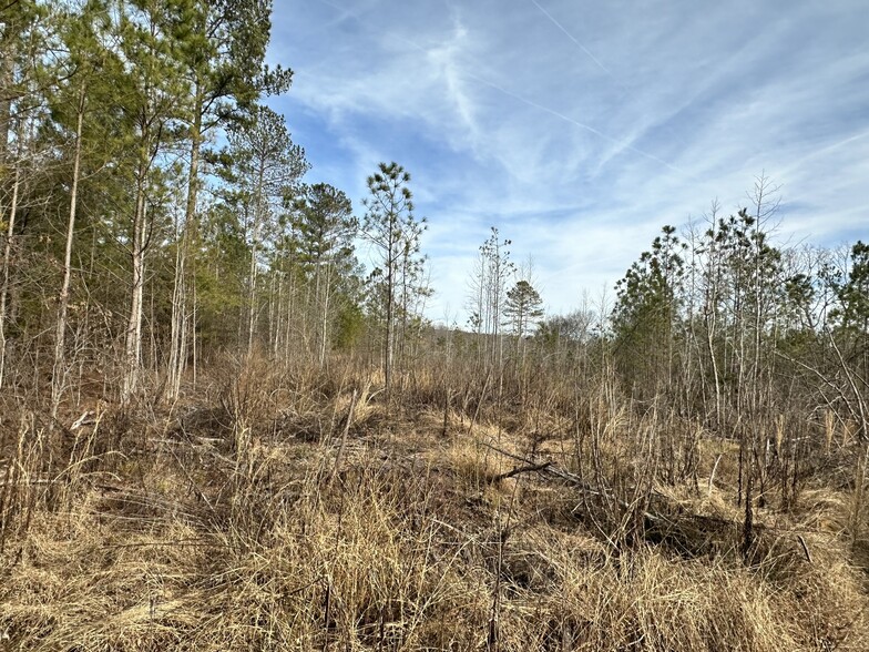 Satcher Road Rd, Taylorsville, GA for sale - Primary Photo - Image 1 of 9