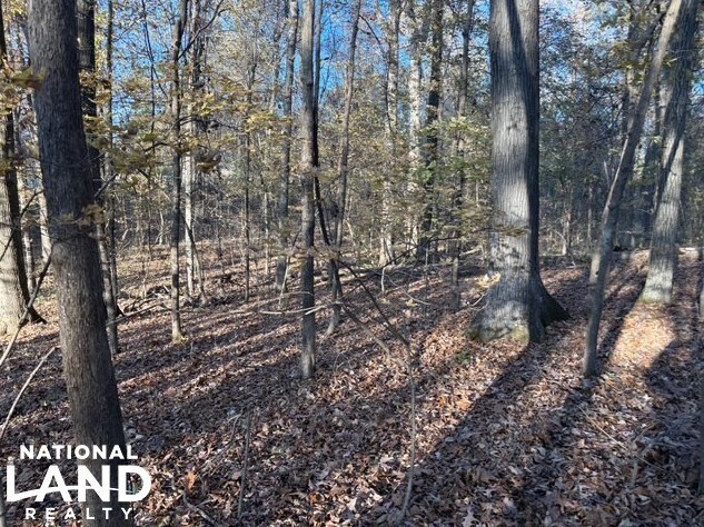 HWY 301, Horn Lake, MS à vendre - Autre - Image 2 de 7