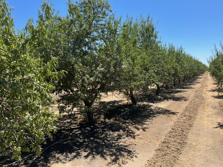 13678 Avenue 23 1/2, Chowchilla, CA for sale - Building Photo - Image 3 of 8