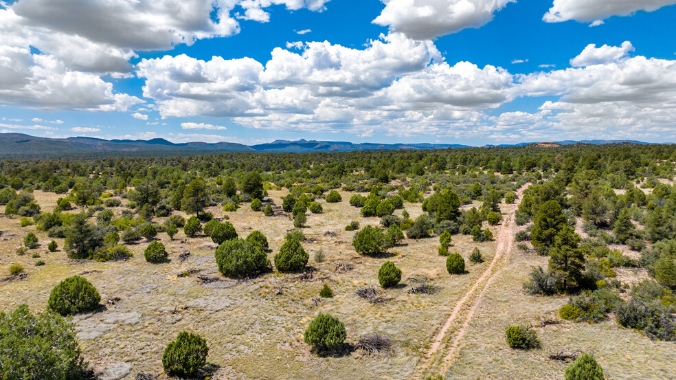 Las Vegas Road (West of Williamson Valley Rd), Prescott, AZ à vendre - A rien - Image 1 de 12