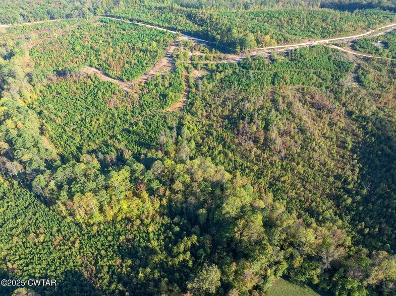 7 Tucker Rd, Bath Springs, TN for sale - Aerial - Image 3 of 4