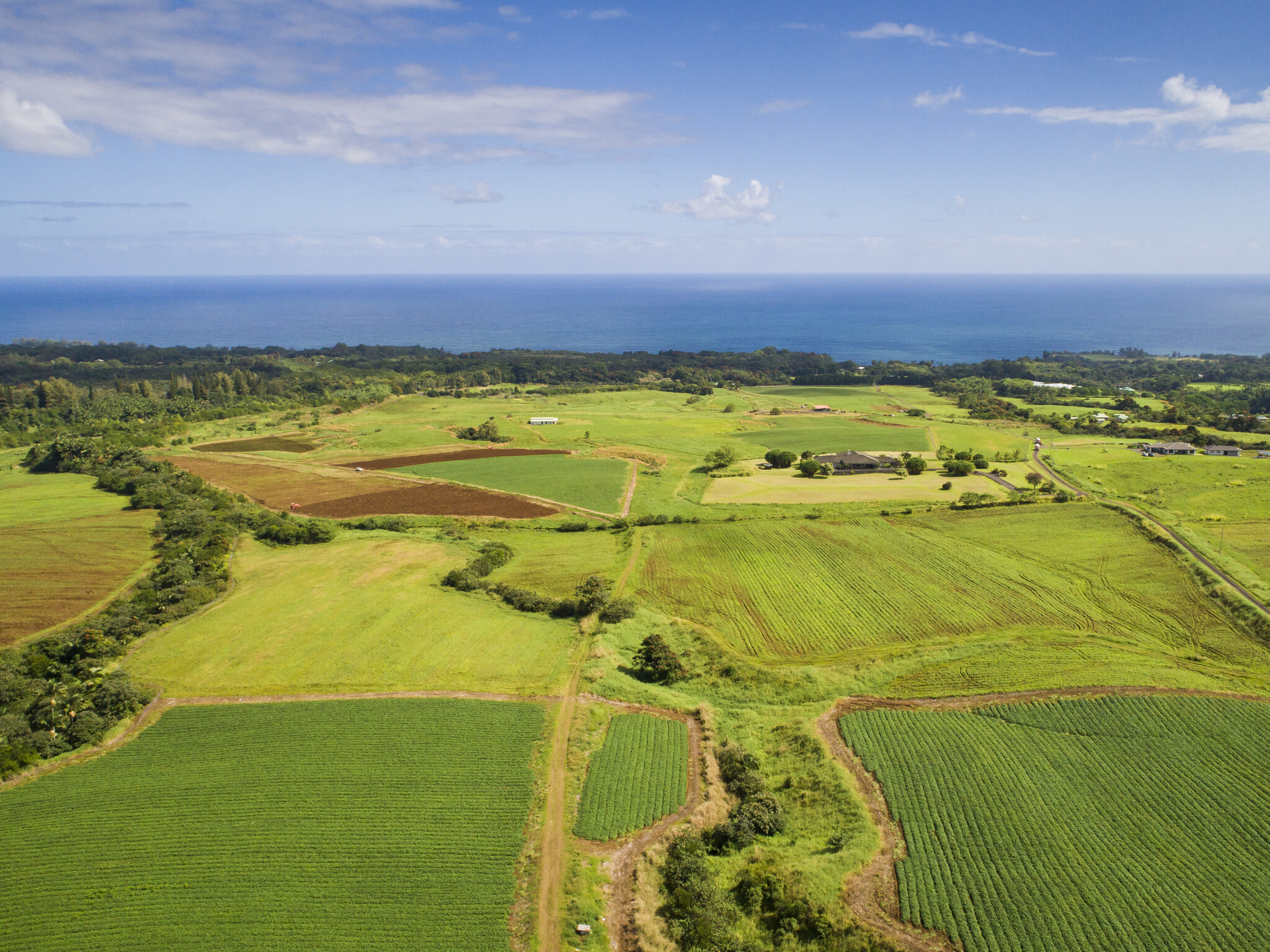 27-570 Onohi Lp, Papaikou, HI for sale Aerial- Image 1 of 1