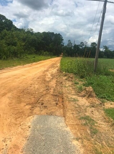11149 US Highway 301, Claxton, GA for sale - Building Photo - Image 2 of 5