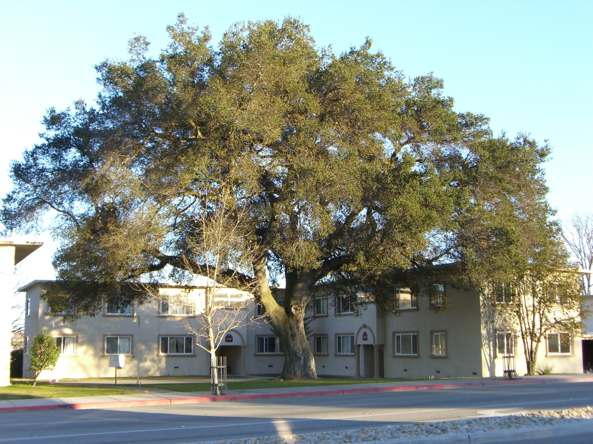 240 Spring St, Paso Robles, CA for sale Building Photo- Image 1 of 1