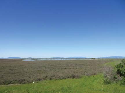 815 Riverway Ln, Vallejo, CA à vendre - Autre - Image 3 de 12