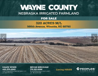 More details for 848th Rd, Winside, NE - Land for Sale