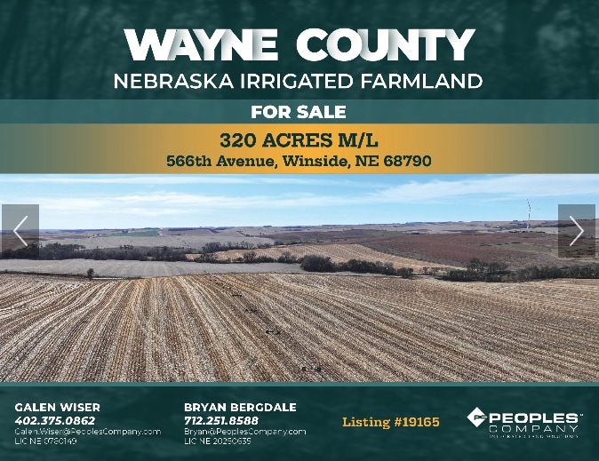 848th Rd, Winside, NE for sale Primary Photo- Image 1 of 8