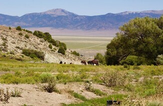 Plus de détails pour 1090 Cherry Creek Rd, Ely, NV - Terrain à vendre