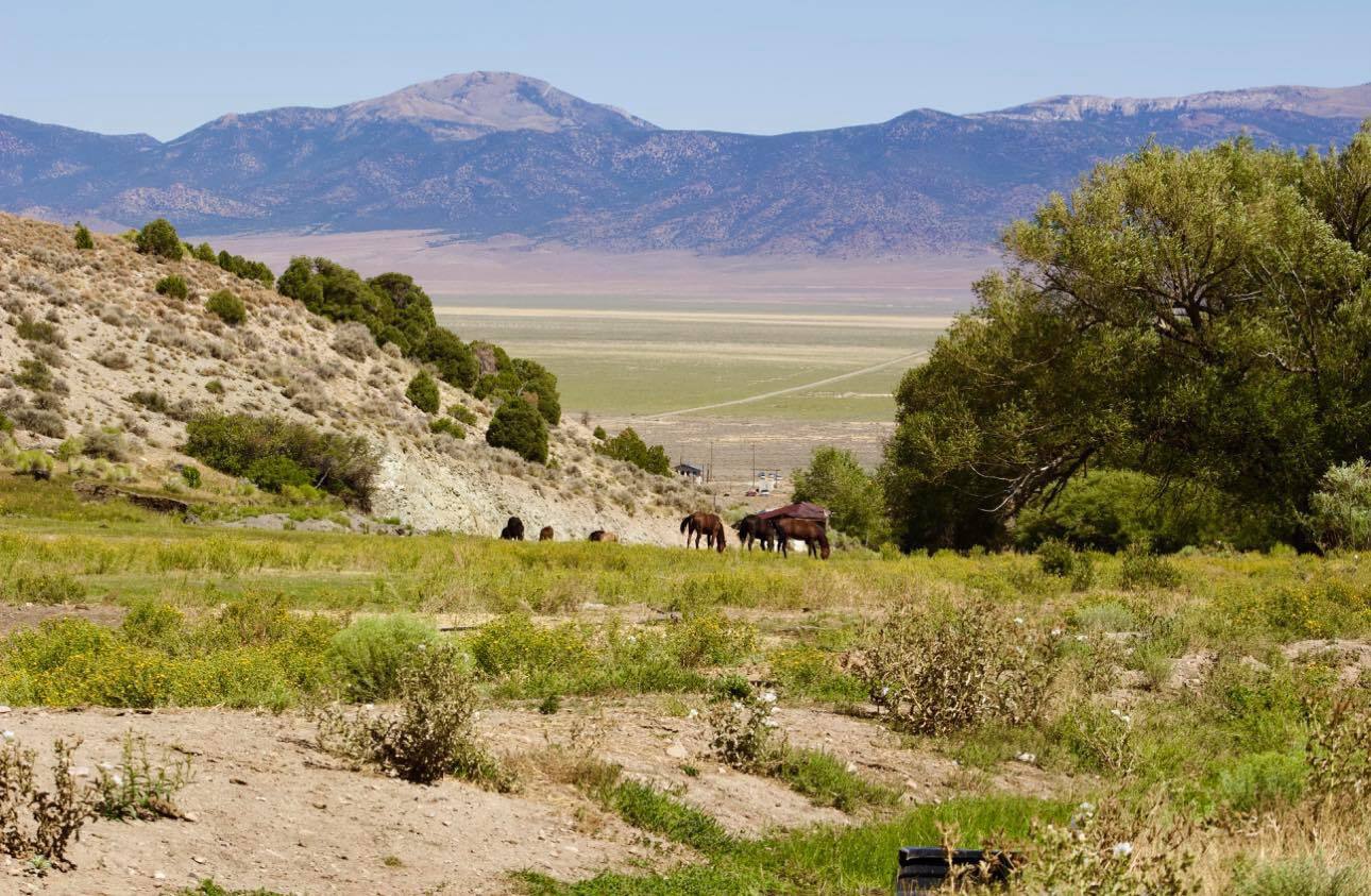 1090 Cherry Creek Rd, Ely, NV à vendre Aérien- Image 1 de 10