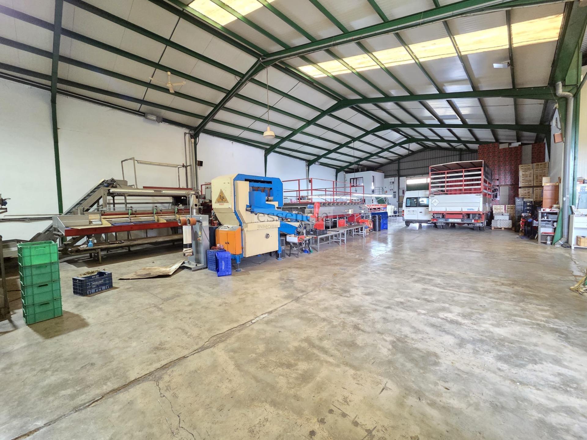 Industrial in València, Valencia for sale Building Photo- Image 1 of 19