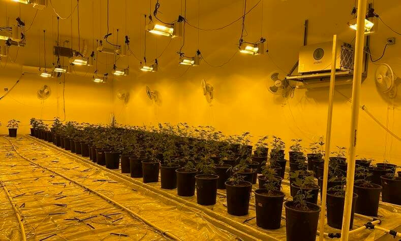 Portland Net Leased Cannabis Portfolio portefeuille de 2 propriétés à vendre sur LoopNet.ca - Photo du bâtiment - Image 2 de 5