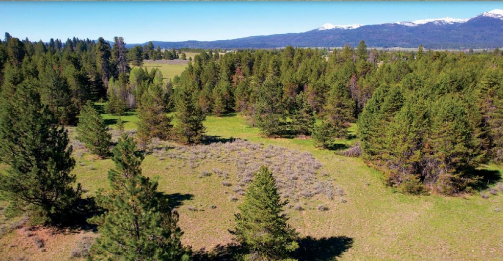 E. Prospector, Cascade, ID for sale - Aerial - Image 3 of 8