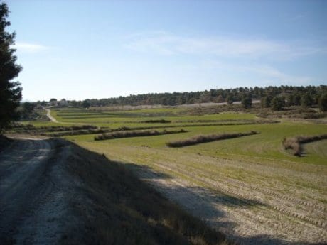 Land in Moratalla, Murcia for sale - Building Photo - Image 3 of 50