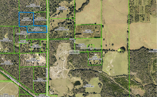 Plus de détails pour 0 Citrus Way, Brooksville, FL - Terrain à vendre