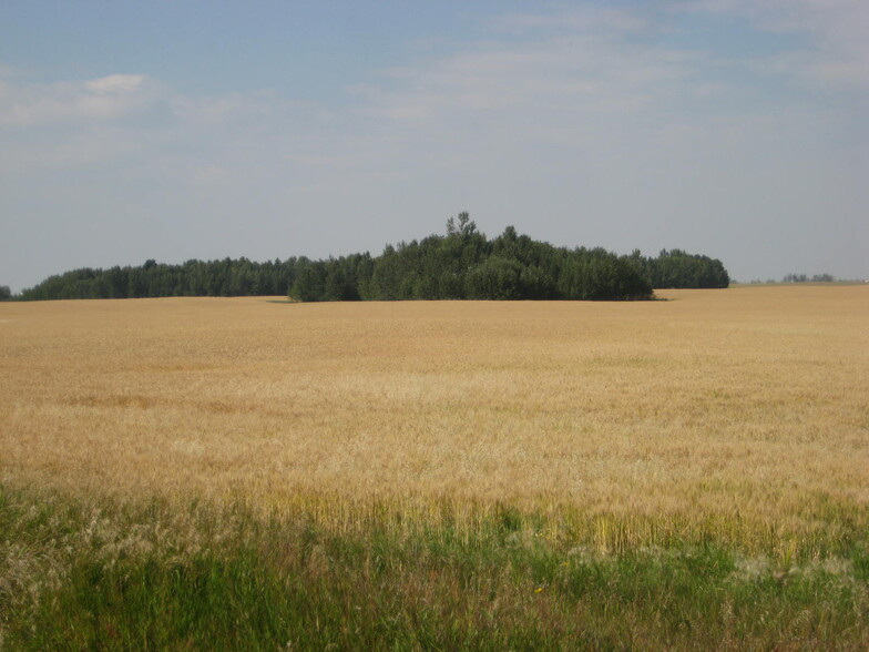 Hwy 2 A, Carstairs, AB à vendre - Photo principale - Image 1 de 2