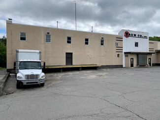 Plus de détails pour 240 Chestnut St, Liberty, NY - Industriel/Logistique à louer