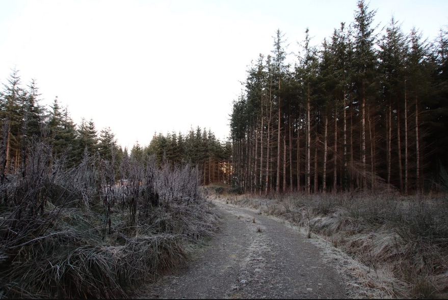 Meikle Cantlay, Keith for sale - Other - Image 3 of 4