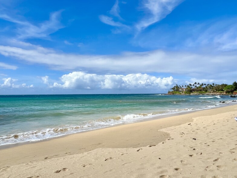 49 Hana Hwy, Paia, HI for sale - Building Photo - Image 3 of 44