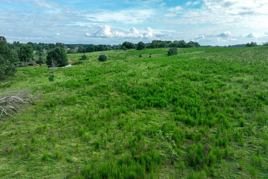 0 Turkey Creek Rd, Carnesville, GA for sale - Building Photo - Image 2 of 24