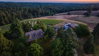 Winery & Estate - Le Mulet Rouge - Vignoble