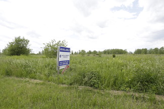 Plus de détails pour SEC W Sycamore Rd & Redwood St., Manteno, IL - Terrain à louer