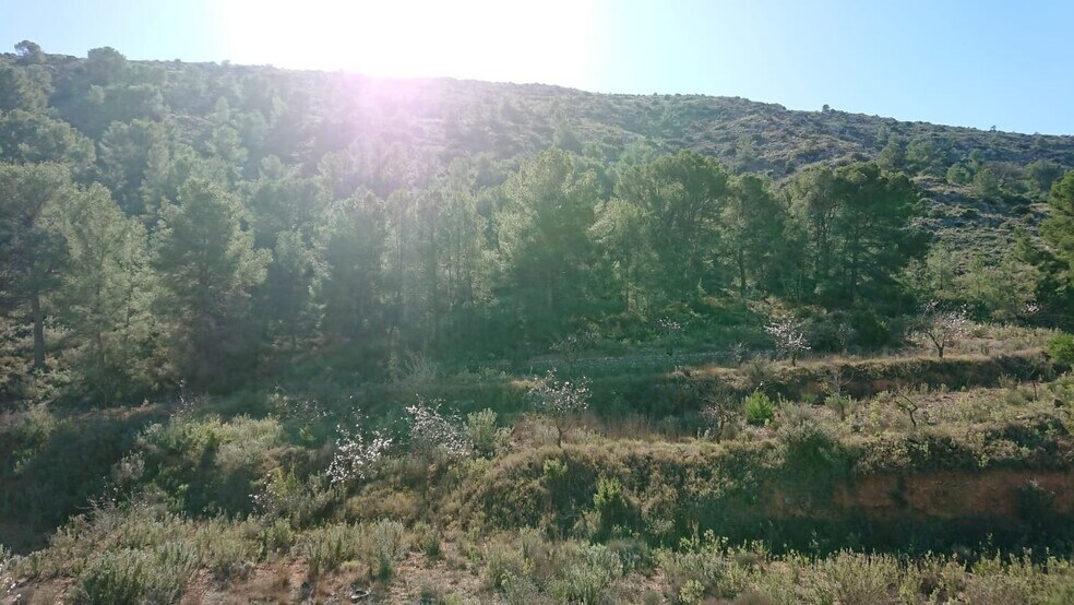 Land in Totana, Murcia for sale - Building Photo - Image 2 of 8