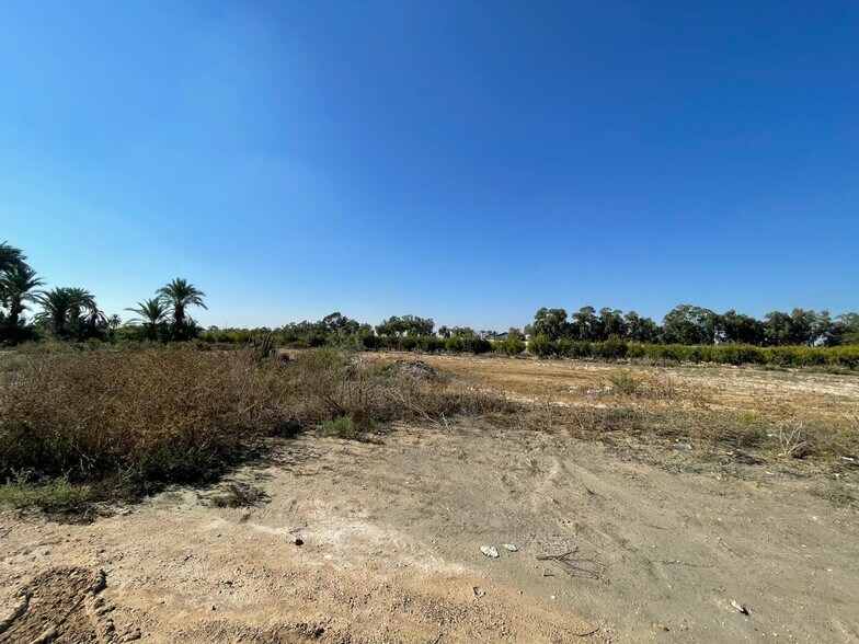 Land in Crevillent, Alicante for sale - Primary Photo - Image 1 of 5