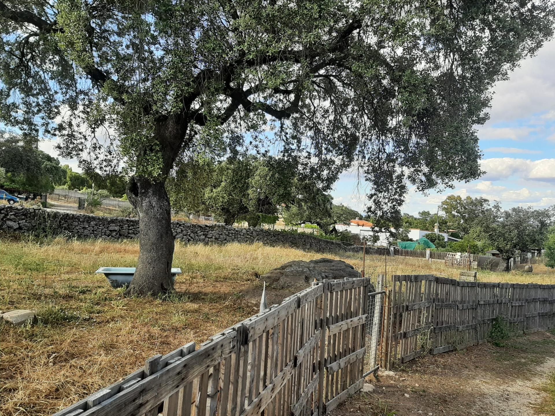 Land in Casar de Cáceres, Cáceres for sale Primary Photo- Image 1 of 7