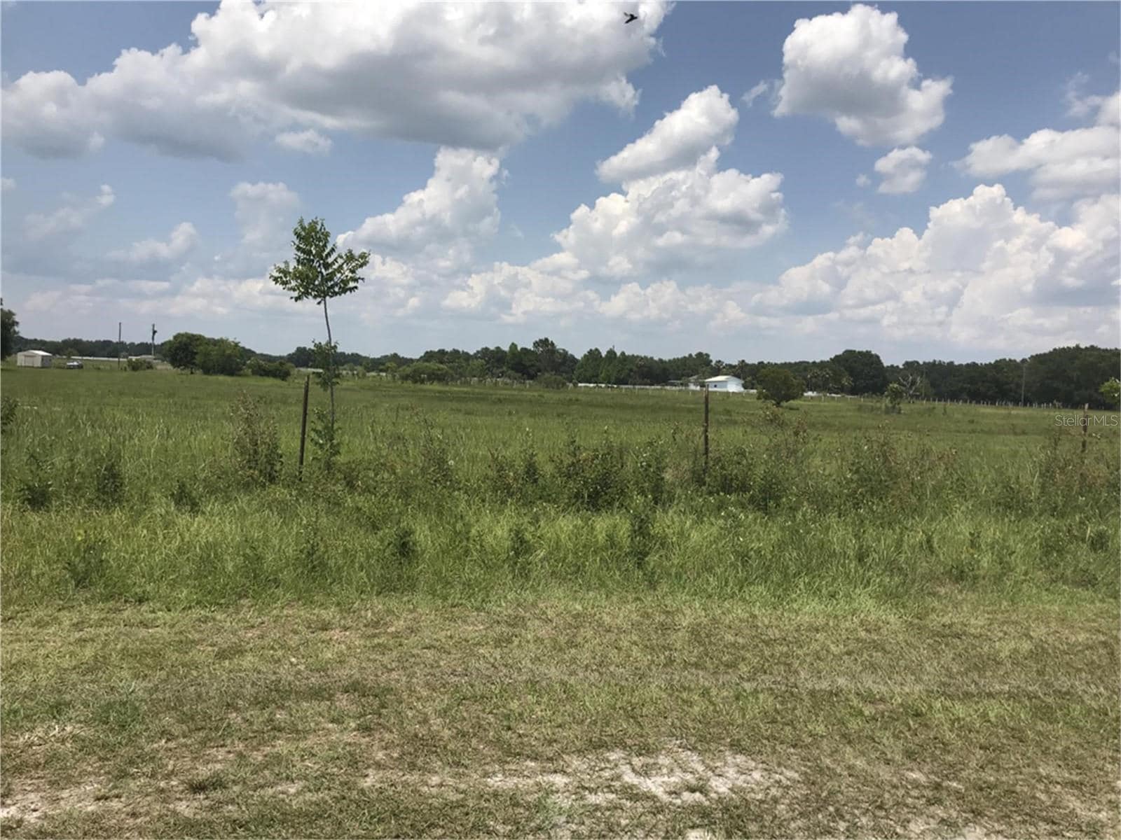 County Road 614A, Bushnell, FL for sale Primary Photo- Image 1 of 2