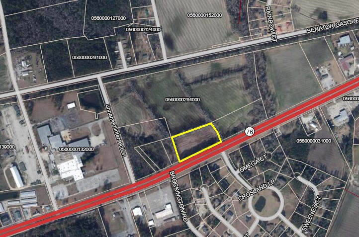 40 Acres Highway 76, Mullins, SC à vendre - Photo du bâtiment - Image 3 de 3