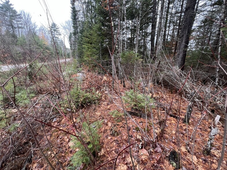 Gray Fox Road, Effingham, NH à vendre - Photo principale - Image 2 de 8