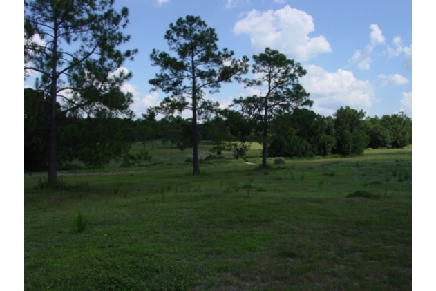 23A Golf Course Rd, Macclenny, FL à vendre - Photo principale - Image 1 de 1