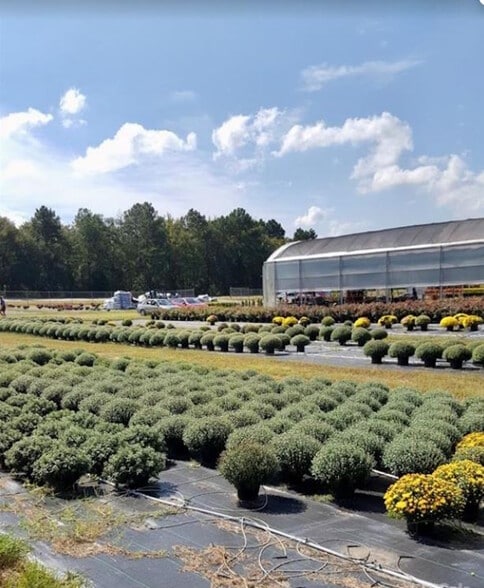 32544 SC-9, Pageland, SC for sale - Primary Photo - Image 1 of 7