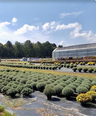 Plus de détails pour 32544 SC-9, Pageland, SC - Terrain à vendre