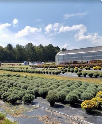 Plus de détails pour 32544 SC-9, Pageland, SC - Terrain à vendre