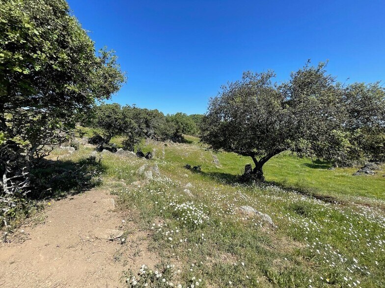 Camino de la Luria, Garrovillas de Alconétar, Cáceres à vendre - Photo du bâtiment - Image 2 de 17